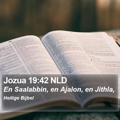 Jozua 19:42 NLD Bible Verse Image