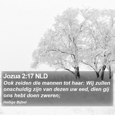 Jozua 2:17 NLD Bible Verse Image