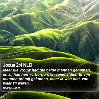 Jozua 2:4 NLD Bible Verse Image