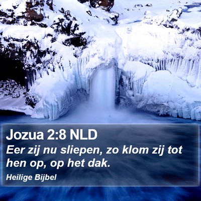 Jozua 2:8 NLD Bible Verse Image