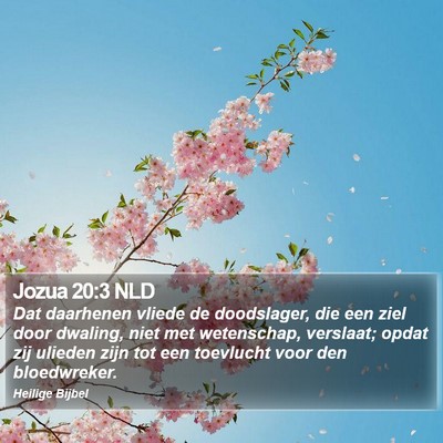 Jozua 20:3 NLD Bible Verse Image