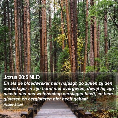 Jozua 20:5 NLD Bible Verse Image