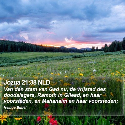 Jozua 21:38 NLD Bible Verse Image