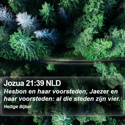Jozua 21:39 NLD Bible Verse Image