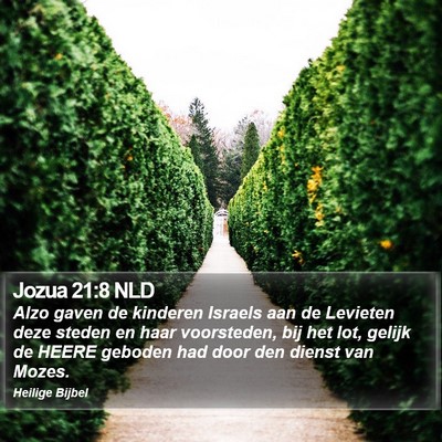 Jozua 21:8 NLD Bible Verse Image