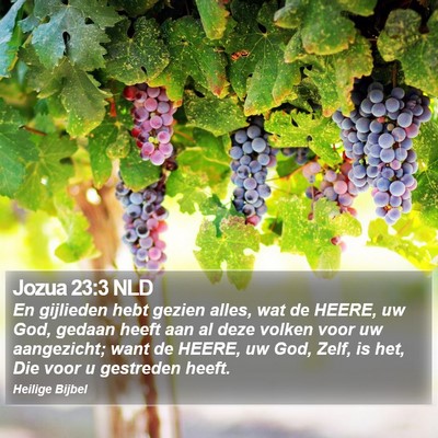 Jozua 23:3 NLD Bible Verse Image
