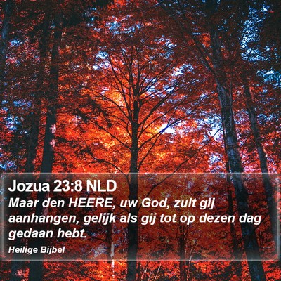 Jozua 23:8 NLD Bible Verse Image