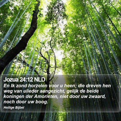 Jozua 24:12 NLD Bible Verse Image