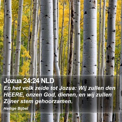 Jozua 24:24 NLD Bible Verse Image