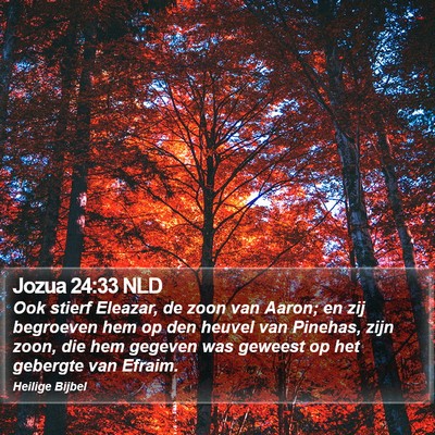 Jozua 24:33 NLD Bible Verse Image