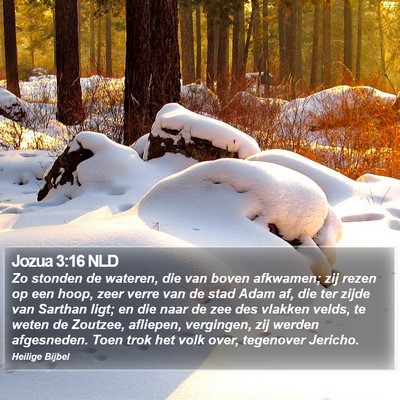 Jozua 3:16 NLD Bible Verse Image