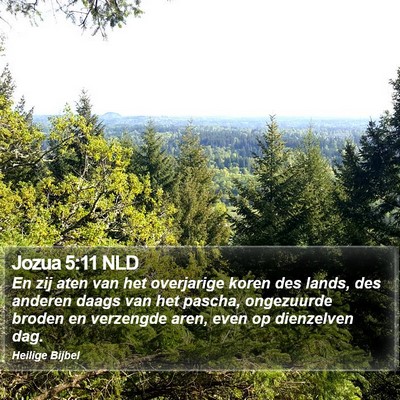 Jozua 5:11 NLD Bible Verse Image