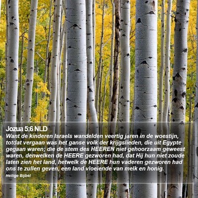 Jozua 5:6 NLD Bible Verse Image