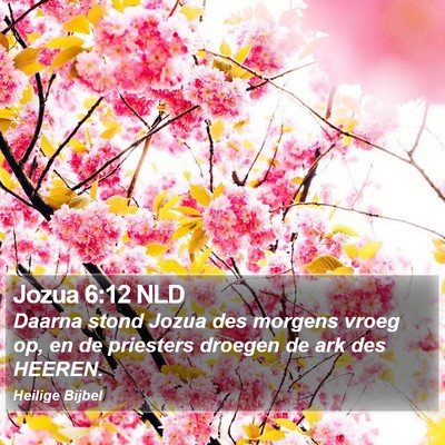 Jozua 6:12 NLD Bible Verse Image