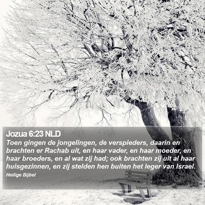 Jozua 6:23 NLD Bible Verse Image