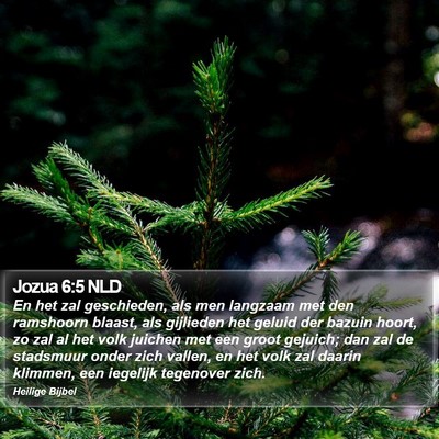 Jozua 6:5 NLD Bible Verse Image