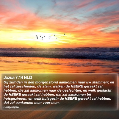 Jozua 7:14 NLD Bible Verse Image