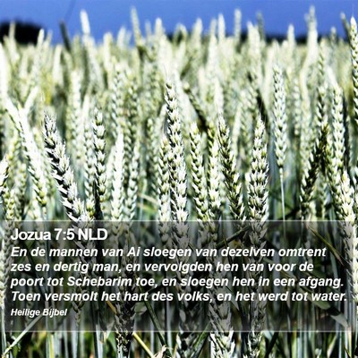 Jozua 7:5 NLD Bible Verse Image