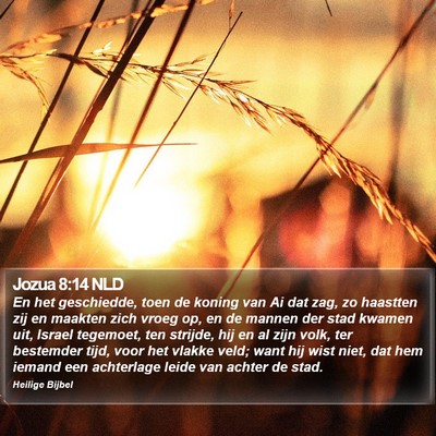 Jozua 8:14 NLD Bible Verse Image