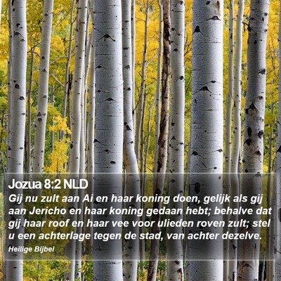 Jozua 8:2 NLD Bible Verse Image