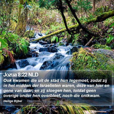 Jozua 8:22 NLD Bible Verse Image