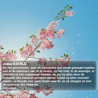 Jozua 8:24 NLD Bible Verse Image