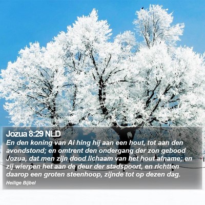 Jozua 8:29 NLD Bible Verse Image