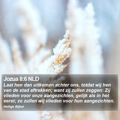 Jozua 8:6 NLD Bible Verse Image