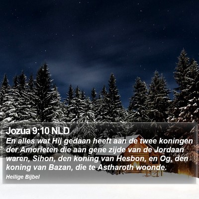 Jozua 9:10 NLD Bible Verse Image