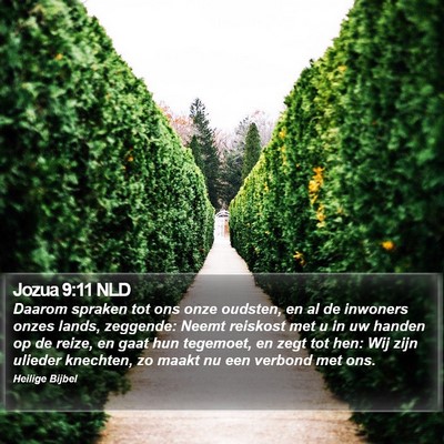 Jozua 9:11 NLD Bible Verse Image