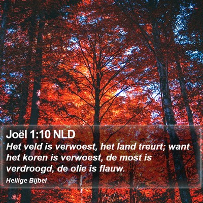 Joël 1:10 NLD Bible Verse Image