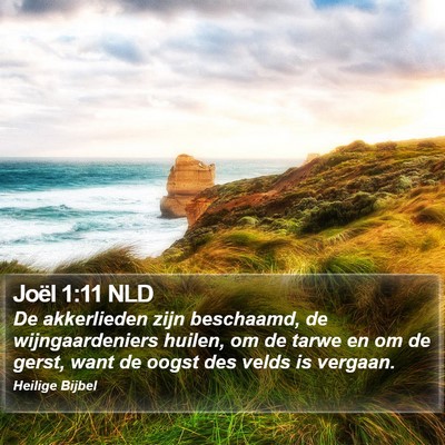 Joël 1:11 NLD Bible Verse Image