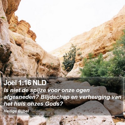 Joël 1:16 NLD Bible Verse Image