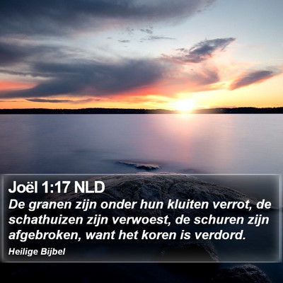 Joël 1:17 NLD Bible Verse Image