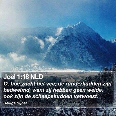 Joël 1:18 NLD Bible Verse Image