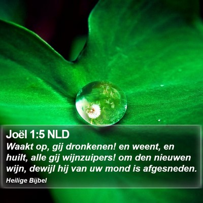 Joël 1:5 NLD Bible Verse Image