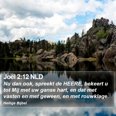 Joël 2:12 NLD Bible Verse Image