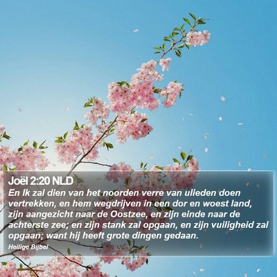 Joël 2:20 NLD Bible Verse Image