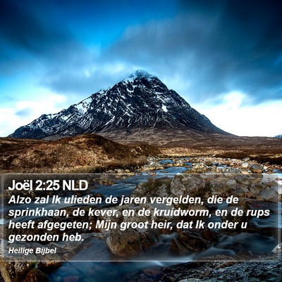 Joël 2:25 NLD Bible Verse Image
