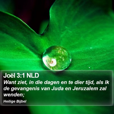 Joël 3:1 NLD Bible Verse Image
