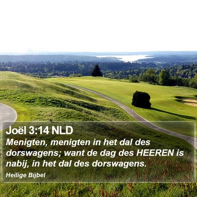 Joël 3:14 NLD Bible Verse Image
