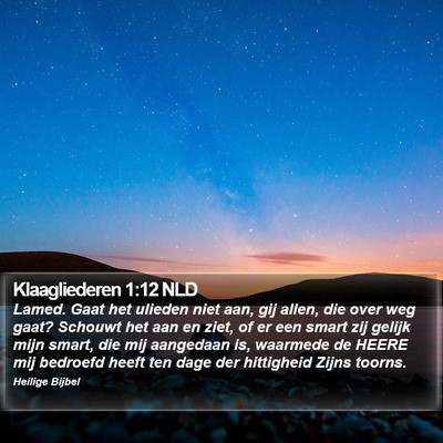 Klaagliederen 1:12 NLD Bible Verse Image