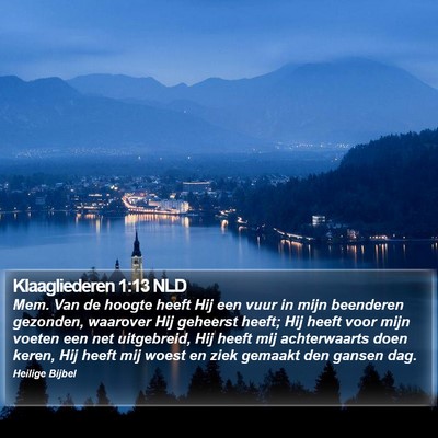 Klaagliederen 1:13 NLD Bible Verse Image