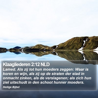 Klaagliederen 2:12 NLD Bible Verse Image