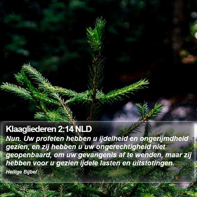 Klaagliederen 2:14 NLD Bible Verse Image