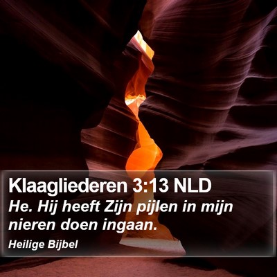 Klaagliederen 3:13 NLD Bible Verse Image