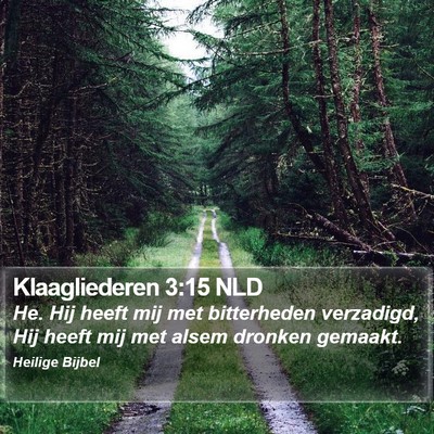 Klaagliederen 3:15 NLD Bible Verse Image