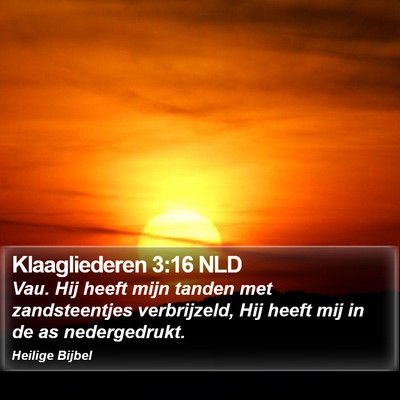 Klaagliederen 3:16 NLD Bible Verse Image