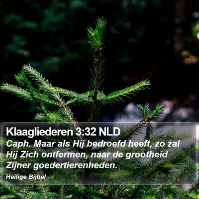 Klaagliederen 3:32 NLD Bible Verse Image