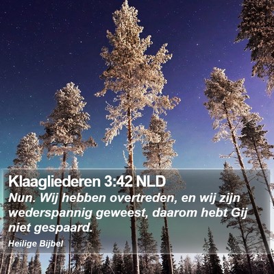 Klaagliederen 3:42 NLD Bible Verse Image